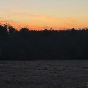 Photo #23 of Piney Mountain Road, Appomattox, VA 23.2 acres