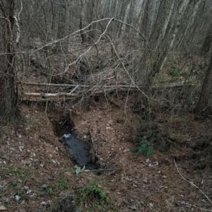 Photo #17 of Piney Mountain Road, Appomattox, VA 23.2 acres