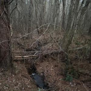 Photo #18 of Piney Mountain Road, Appomattox, VA 23.2 acres