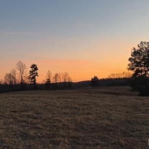 Photo #21 of Piney Mountain Road, Appomattox, VA 23.2 acres