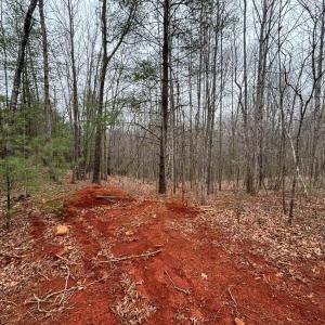 Photo #12 of 2724 Perch Road, Monroe, VA 182.2 acres