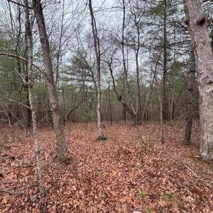 Photo #14 of 2724 Perch Road, Monroe, VA 182.2 acres