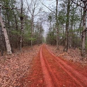 Photo #13 of 2724 Perch Road, Monroe, VA 182.2 acres
