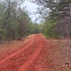 Photo #11 of 2724 Perch Road, Monroe, VA 182.2 acres