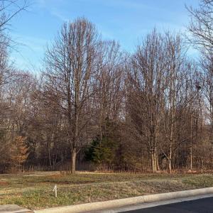Photo #4 of Jefferson Drive West, Forest, VA 1.4 acres