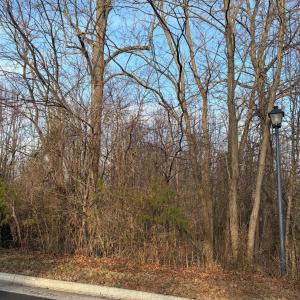 Photo #3 of Jefferson Drive West, Forest, VA 1.4 acres