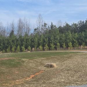 Photo #1 of Greenbay Road, Rice, VA 58.3 acres