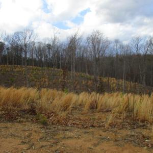Photo #6 of 991 Kentmoor Farm Rd, Madison Heights, VA 32.0 acres