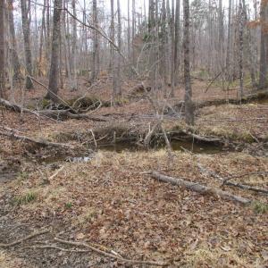 Photo #12 of 991 Kentmoor Farm Rd, Madison Heights, VA 32.0 acres