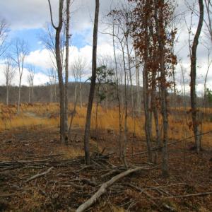 Photo #13 of 991 Kentmoor Farm Rd, Madison Heights, VA 32.0 acres