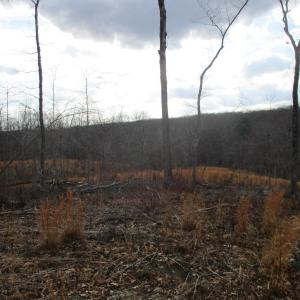 Photo #17 of 991 Kentmoor Farm Rd, Madison Heights, VA 32.0 acres