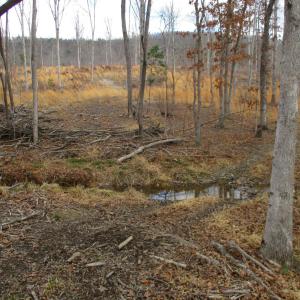 Photo #9 of 991 Kentmoor Farm Rd, Madison Heights, VA 32.0 acres