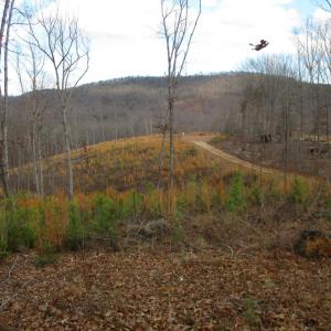 Photo #4 of 991 Kentmoor Farm Rd, Madison Heights, VA 32.0 acres
