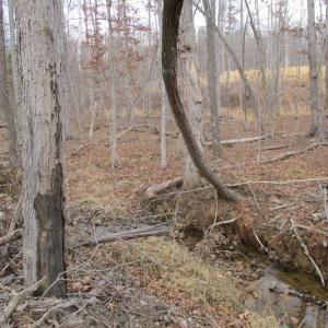 Photo #10 of 991 Kentmoor Farm Rd, Madison Heights, VA 32.0 acres