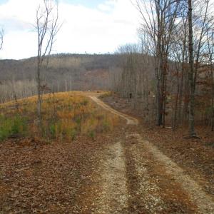 Photo #5 of 991 Kentmoor Farm Rd, Madison Heights, VA 32.0 acres