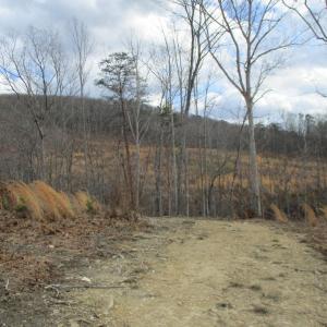 Photo #16 of 991 Kentmoor Farm Rd, Madison Heights, VA 32.0 acres