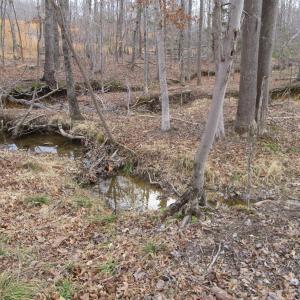 Photo #8 of 991 Kentmoor Farm Rd, Madison Heights, VA 32.0 acres