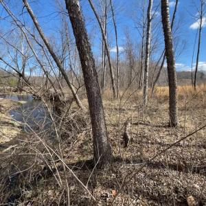 Photo #38 of Middlemont, Bedford, VA 40.0 acres