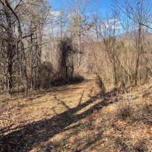 Photo #13 of Middlemont, Bedford, VA 40.0 acres