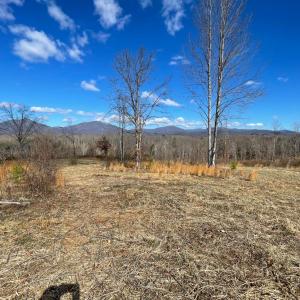 Photo #6 of Middlemont, Bedford, VA 40.0 acres