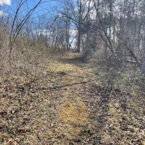 Photo #15 of Middlemont, Bedford, VA 40.0 acres