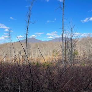 Photo #9 of Middlemont, Bedford, VA 40.0 acres