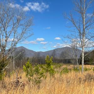 Photo #4 of Middlemont, Bedford, VA 40.0 acres