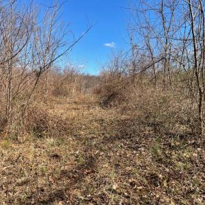 Photo #14 of Middlemont, Bedford, VA 40.0 acres