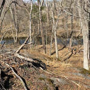 Photo #19 of Middlemont, Bedford, VA 40.0 acres