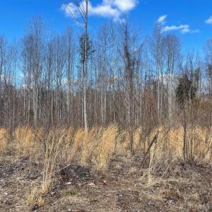 Photo #10 of Middlemont, Bedford, VA 40.0 acres