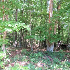 Photo #2 of James River Road, Wingina, VA 2.0 acres