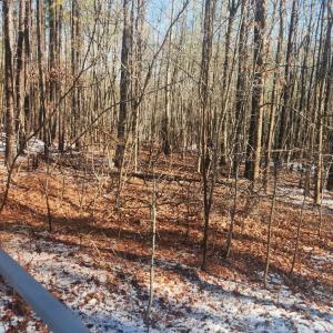 Photo #21 of Old Courthouse Road, Appomattox, VA 8.7 acres