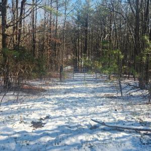 Photo #15 of Old Courthouse Road, Appomattox, VA 8.7 acres