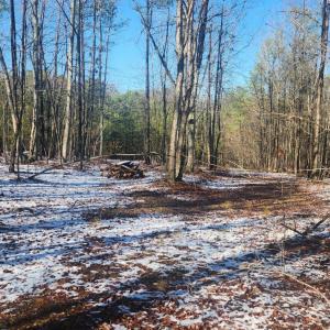 Photo #8 of Old Courthouse Road, Appomattox, VA 8.7 acres