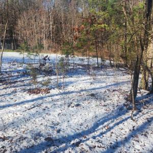 Photo #16 of Old Courthouse Road, Appomattox, VA 8.7 acres