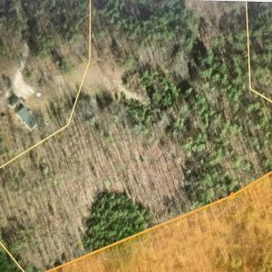 Photo #2 of Old Courthouse Road, Appomattox, VA 8.7 acres