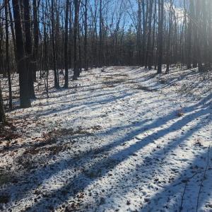 Photo #19 of Old Courthouse Road, Appomattox, VA 8.7 acres