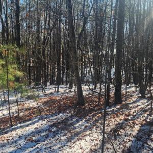 Photo #20 of Old Courthouse Road, Appomattox, VA 8.7 acres