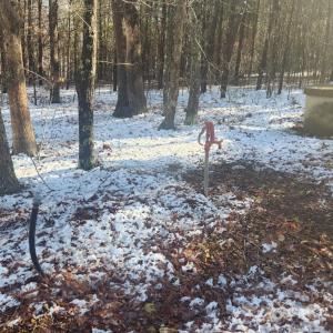 Photo #11 of Old Courthouse Road, Appomattox, VA 8.7 acres