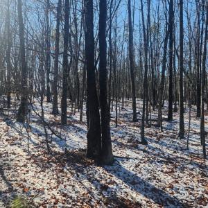 Photo #22 of Old Courthouse Road, Appomattox, VA 8.7 acres