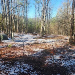Photo #9 of Old Courthouse Road, Appomattox, VA 8.7 acres