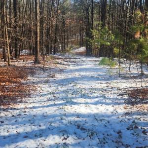 Photo #7 of Old Courthouse Road, Appomattox, VA 8.7 acres