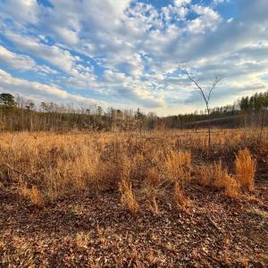 Photo #19 of East Ferry Rd, Gladys, VA 54.3 acres