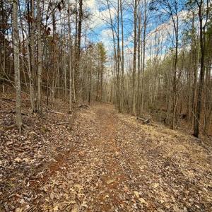 Photo #16 of East Ferry Rd, Gladys, VA 54.3 acres