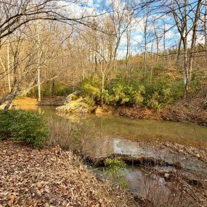 Photo #8 of East Ferry Rd, Gladys, VA 54.3 acres