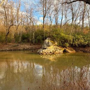 Photo #9 of East Ferry Rd, Gladys, VA 54.3 acres