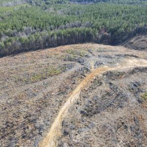 Photo #43 of East Ferry Rd, Gladys, VA 54.3 acres