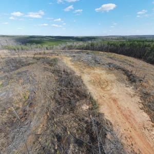 Photo #27 of East Ferry Rd, Gladys, VA 54.3 acres