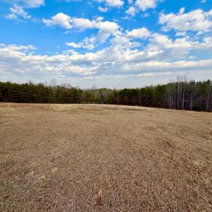 Photo #12 of East Ferry Rd, Gladys, VA 54.3 acres