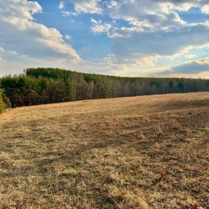 Photo #13 of East Ferry Rd, Gladys, VA 54.3 acres